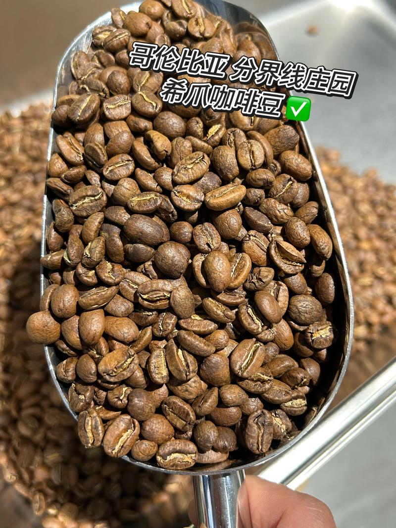 免征增值税的有哪些 免征增值税的有哪些