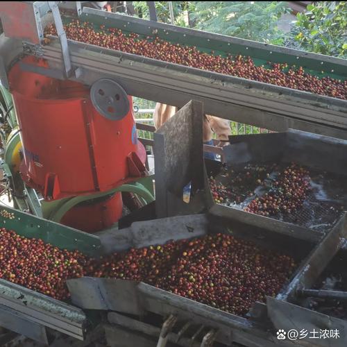 免征增值税的有哪些 免征增值税的有哪些